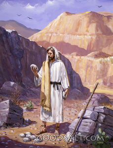 Jesus in the Wilderenss