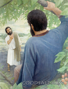 Jesus Met Zacchaeus