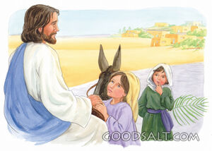 Jesus Rides a Donkey