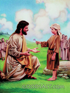 Jesus Taught Abot God's Care