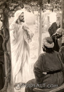 Jesus the True Vine