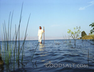 Jesus Walking on Water