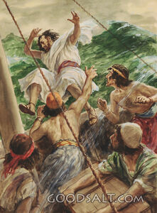 Jonah Cast Into the Sea