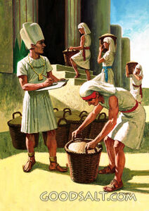 Joseph Collects Grain