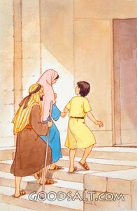 Journey to the Temple