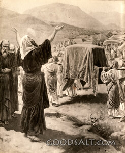 Journeying to Canaan