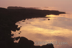 jtbps2369