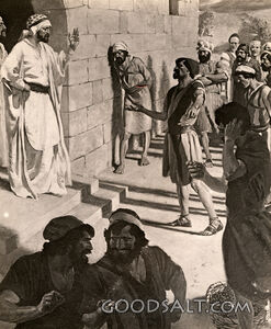 Laborers in the Vineyard