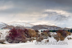 Landscape of heavy snow.