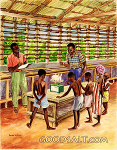 Learning New Ways in Africa