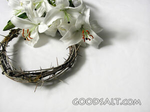 Lilies and Crown of Thorns