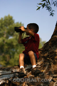 Little boy looking through binoculars outdoors in summer.