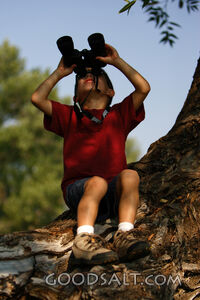 Little boy looking through binoculars outdoors in summer.