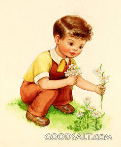 Little Boy Picking Daisies