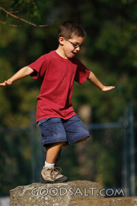 Little boy walking on stone wall in summer.
