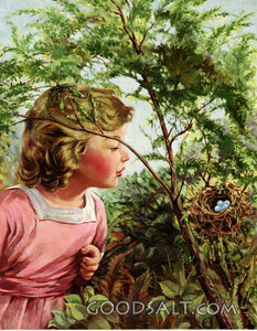 Little Girl Looking at Bird Nest
