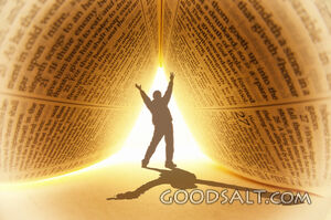 Living under the Word