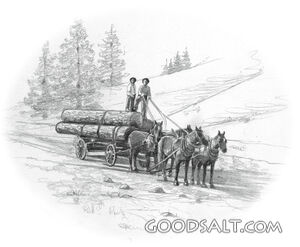 Loggers Hauling Logs