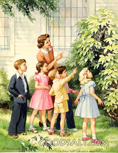 Looking at Bird Nest