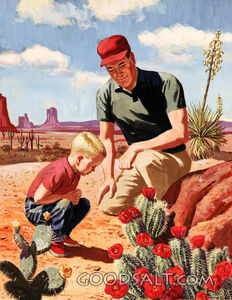 Looking at Cactus in Bloom