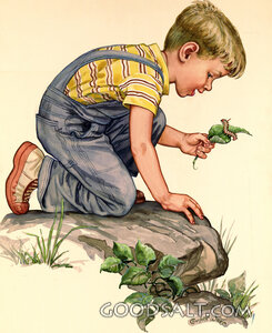 Looking at Caterpillar