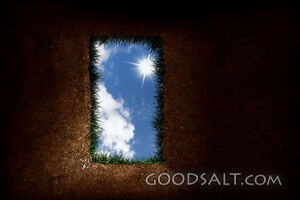 Looking Up From the Grave