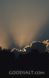 Luminous Clouds