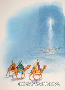 Magi See the Star