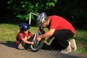 Man and little boy fixing bicycle outdoors in summer.