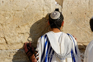 Man Praying at Western Wall