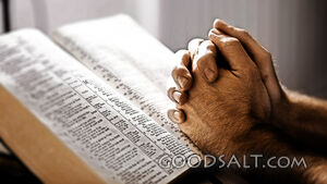 Man Praying over Bible