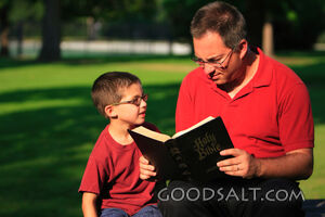 Man reading Bible to little boy in park in summer.