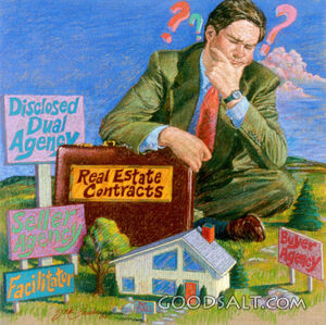 Man Struggles With Real Estate 