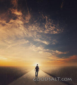 Man Walking Down Pathway