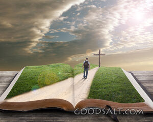 Man Walking on a Bible
