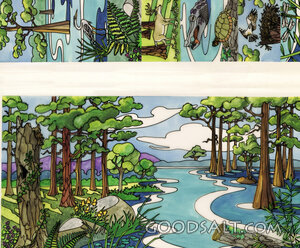 Matching Pictures: Swamp