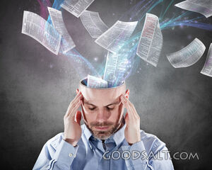 Meditate on the Word