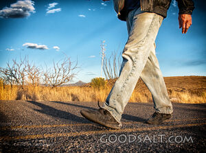Middle of the Road