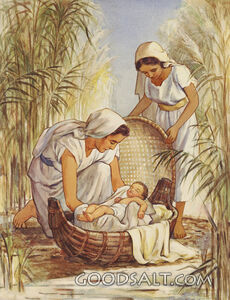 Miriam, Mother, Baby Moses