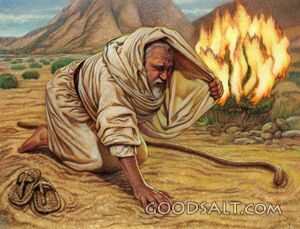 Moses: Obedient Leader