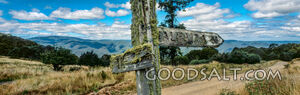 Mossy sign post.