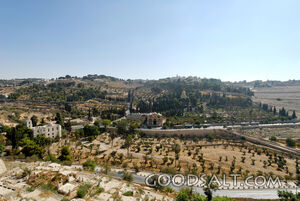 Mount of Olives From Golden Gate