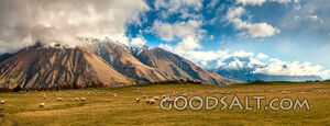 mountai range with green pasture foreground