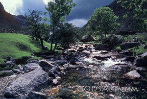 Mountain Stream