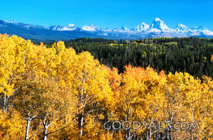 Mountains in Fall