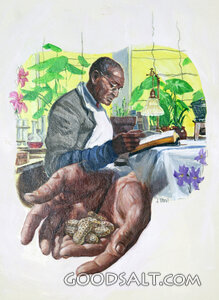 Mr. Creators Borrowed Brown Hands Cover