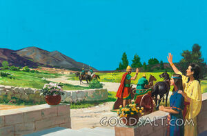 Naaman Leaves for Healing