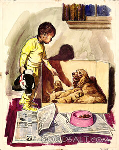 Nighttime Is For Rest