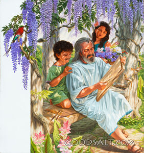 Noah - Drawing Up Plans