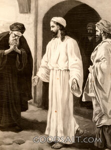 Nobleman's Son Healed